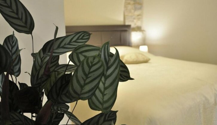 Guest House Stagnja - Photo5