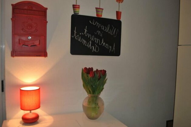 Optimist Split - Photo2