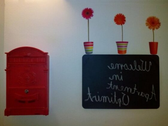 Optimist Split - Photo3