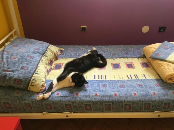 Outlanders Tribe Hostel - Photo3