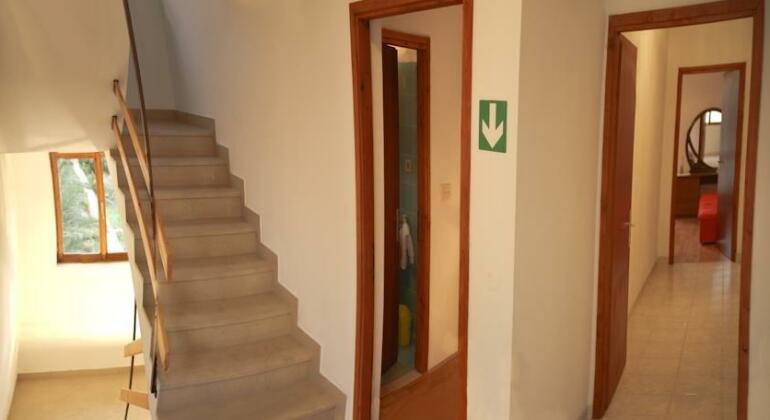 Apartments Andrija Petric - Photo4