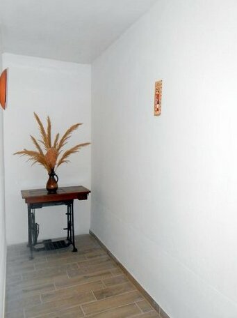 Guest House Zora Stari Grad - Photo4
