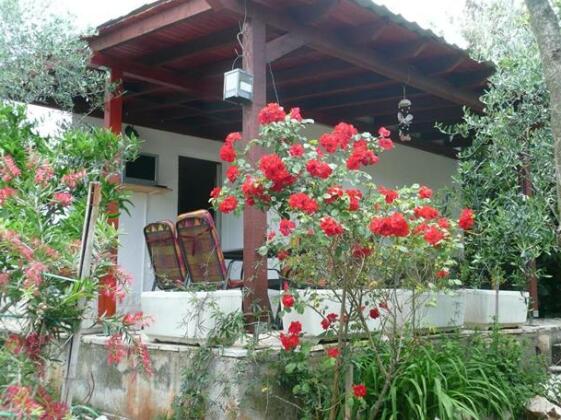 House Oliva - Photo2