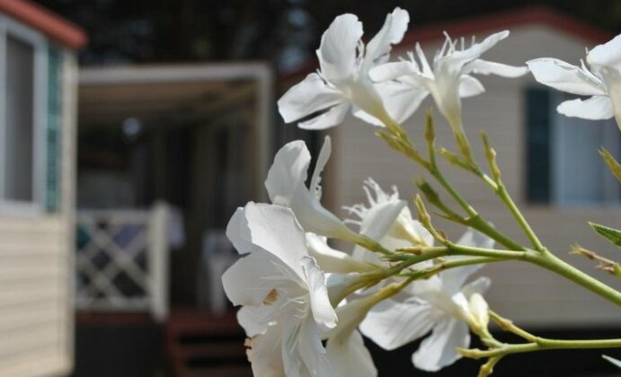 Mobile Homes Camp Brione - Photo3