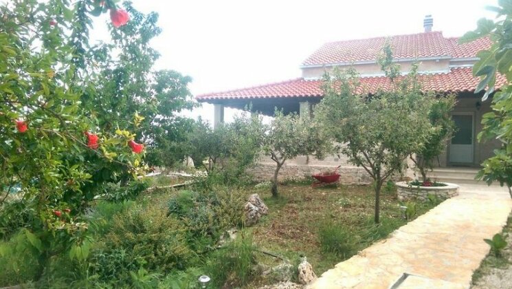 Belvedere Ziza - Photo5