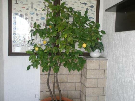 Guesthouse Hacijenda - Photo2