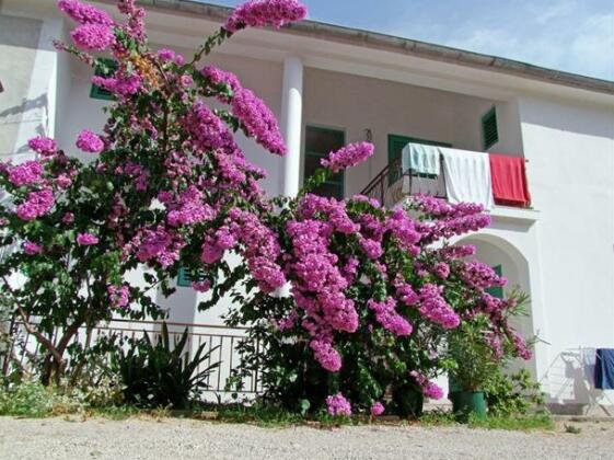 Apartments Ive Tisno - Photo2