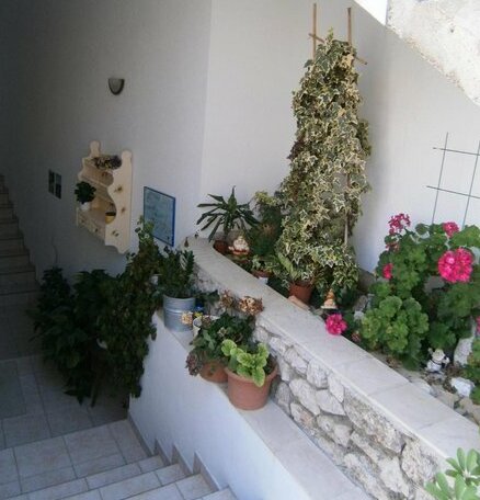 Apartments Ruzica Tisno - Photo2