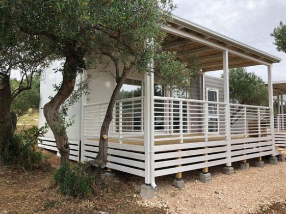Olive Camp - Photo3
