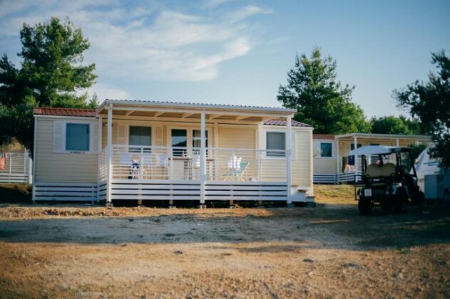 Olive Camp - Photo5