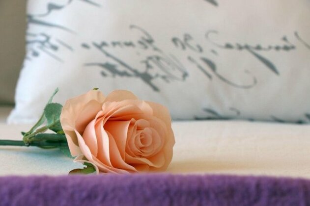 Blue Rose - Photo4