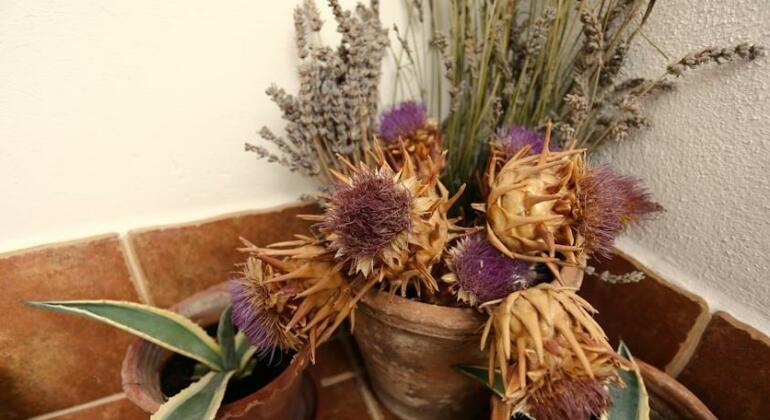 Guesthouse Trogir Proto - Photo2