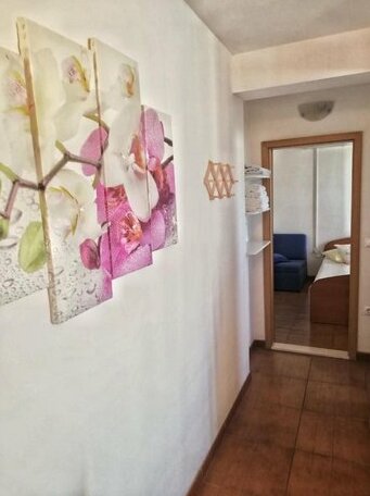 Apartments Jadranka Tucepi - Photo3