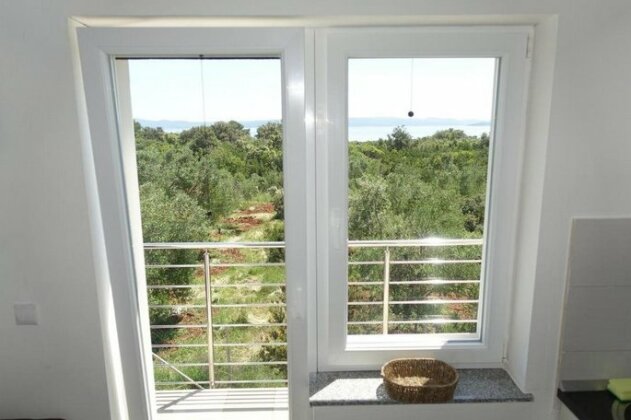 Olive Apartments Ugljan - Photo4