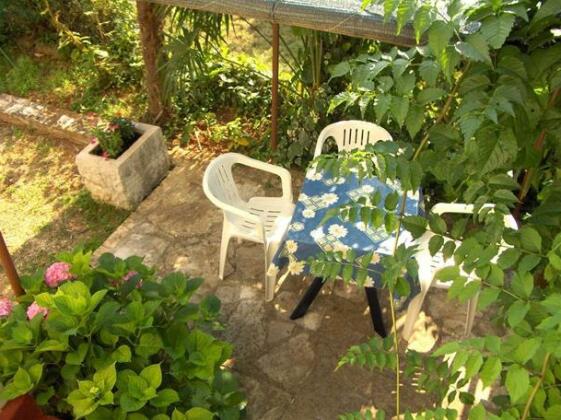 Dasen - Photo5