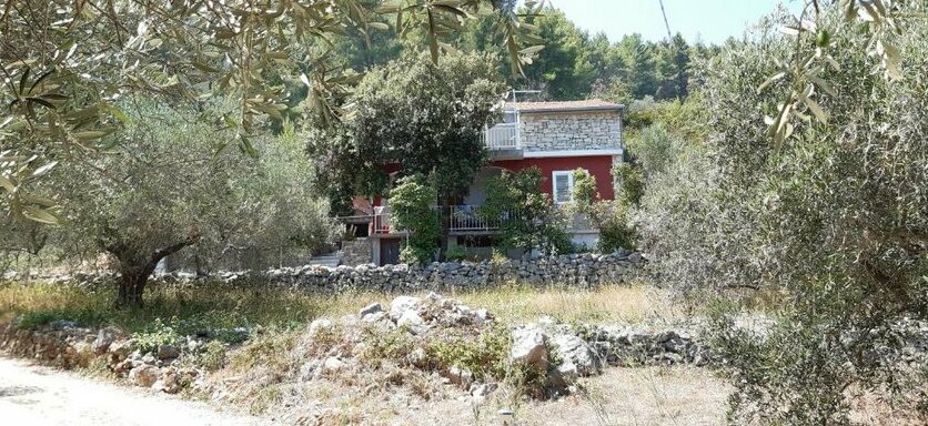 Haus Rosa Picena - Photo2