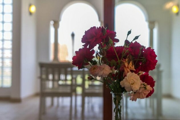 Holiday house Alma - Photo4