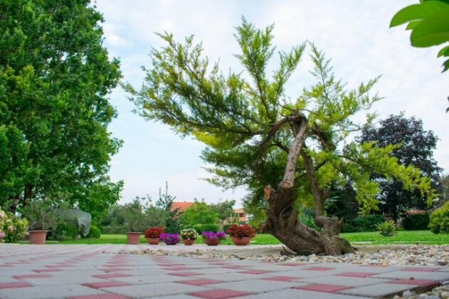 Residence Garden Velika Gorica - Photo5