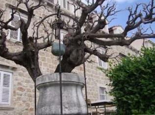 Villa Perna - Photo2