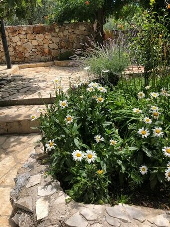 Apartmani Orosnjak - Photo3