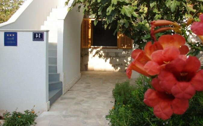 Guest House Dobrisa - Photo2