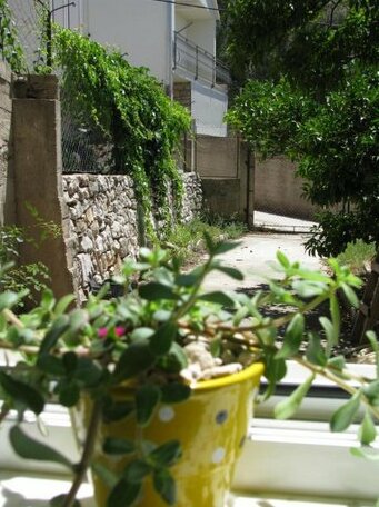 Apartments and Room Lemon - Photo3