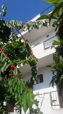 Green Room Vodice - Photo2