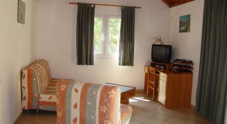 Villa Oleandri - Photo4
