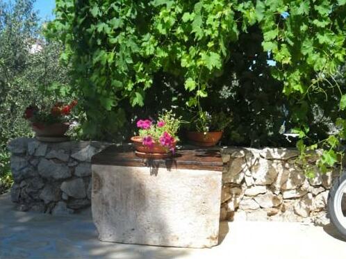 Apartments Branka Zablace - Photo5