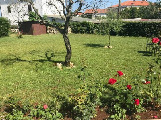 Apartman MIMA Zambratija - Photo3