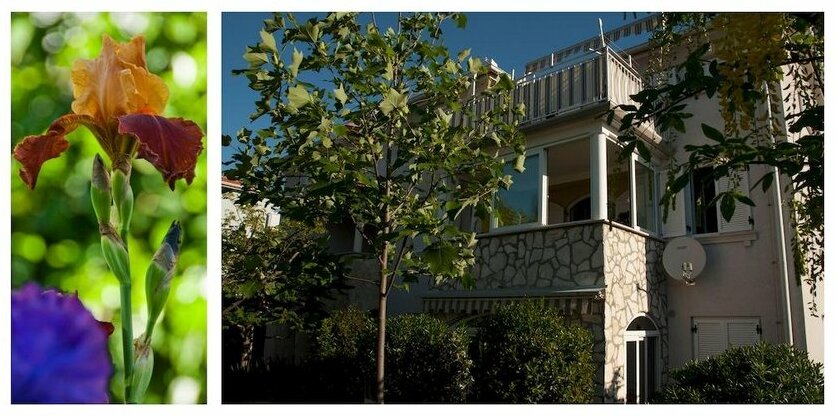 Apartment Villa Paula - Photo2