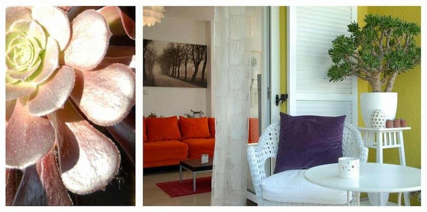 Apartment Villa Paula - Photo4