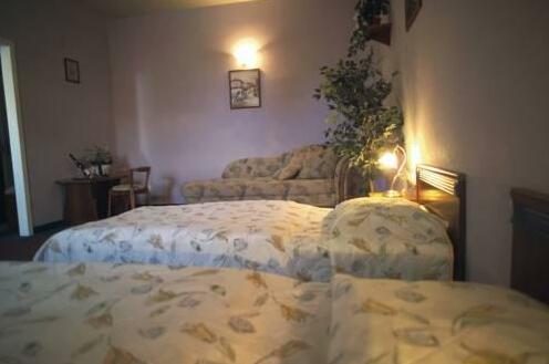 Aranysas Hotel and Bungalow - Photo3