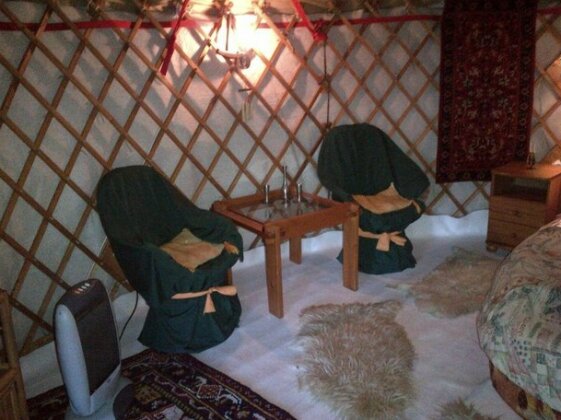 Almond Grove Yurt Hotel - Photo2