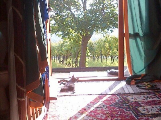 Almond Grove Yurt Hotel - Photo5