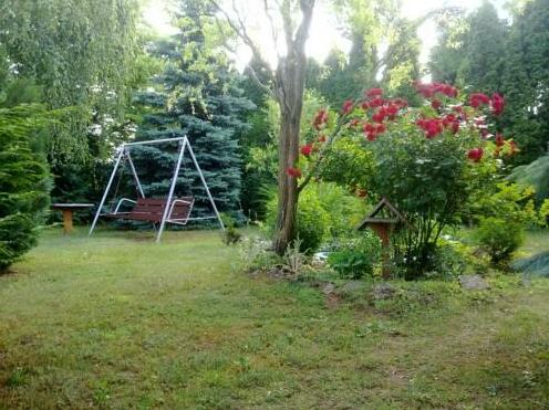 Peters' Nest - Photo4