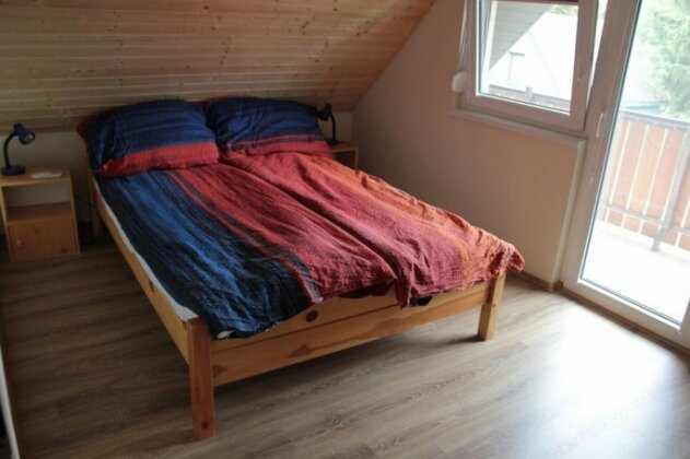 Levendula - Photo3