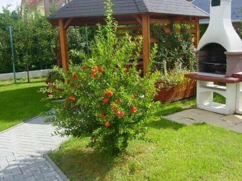 Veronika Villa - Photo5