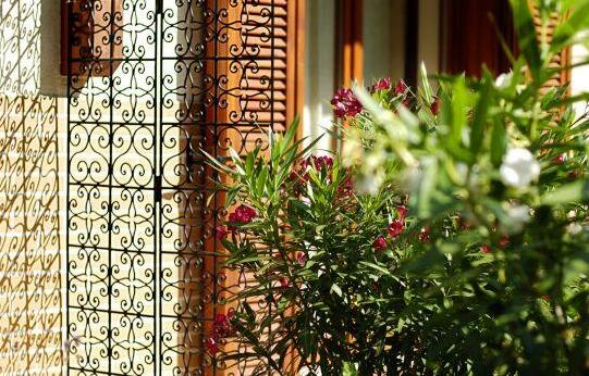 Hullam Villa B&B - Photo3