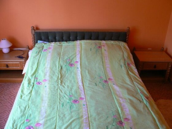 Lomb Apartman - Photo2