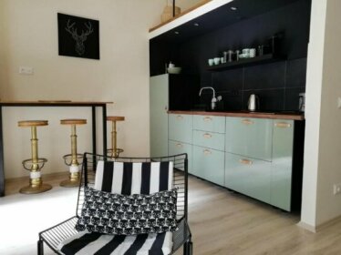 Brand New Bright Studio's in the heart of Budapest