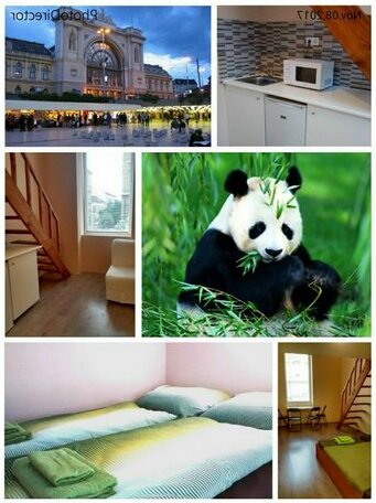 Green Panda Apartments - Photo2