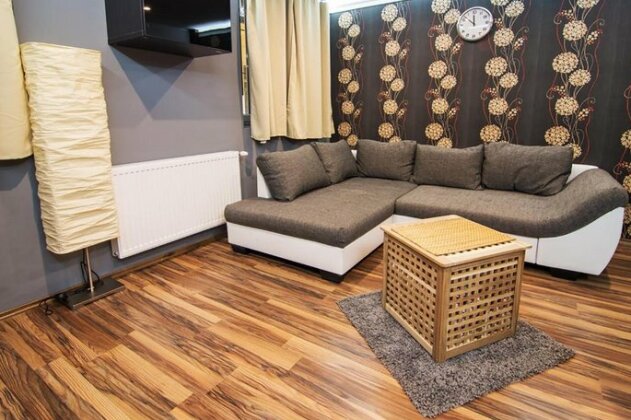 Radin Downtown Apartment - Photo3