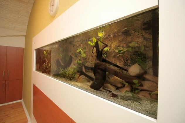 Szent Istvan - Green - Photo3