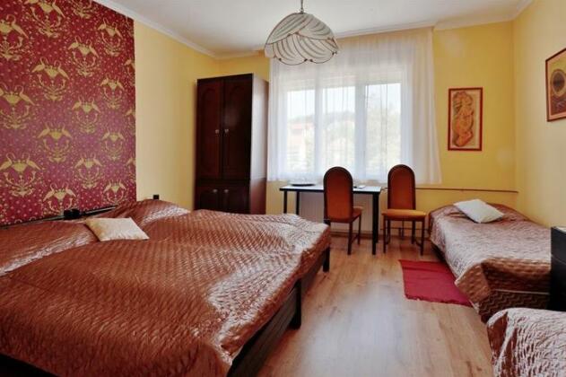 Vincze Villa Vendeghaz - Photo3