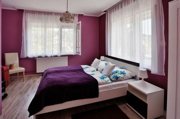 Vincze Villa Vendeghaz - Photo4