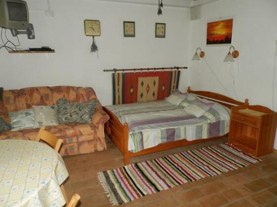 Guest house Diofas Vendeghaz - Photo2