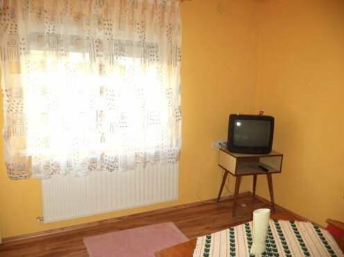 Havas Apartman - Photo4