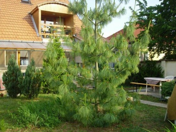 Komfort Apartman - Photo4