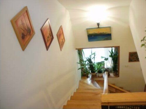 Vass Vendeghaz - Photo3